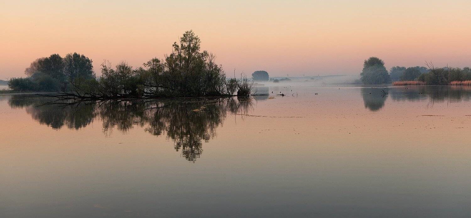 , Игорь Дубровский