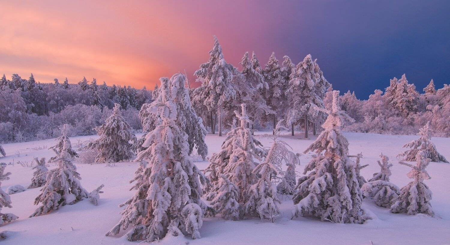 , Клековкин Алексей