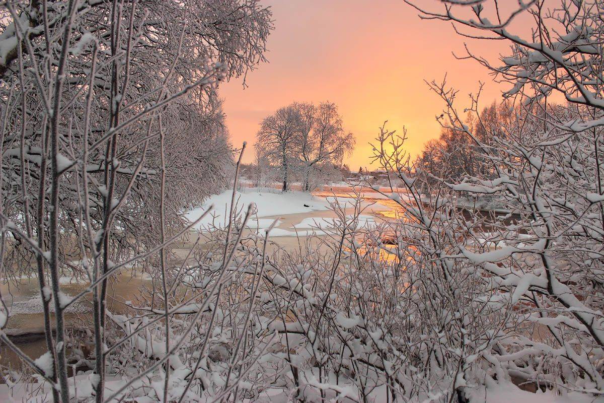 , Александр Коротков