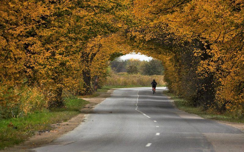 Осенние велопрогулки фото превью