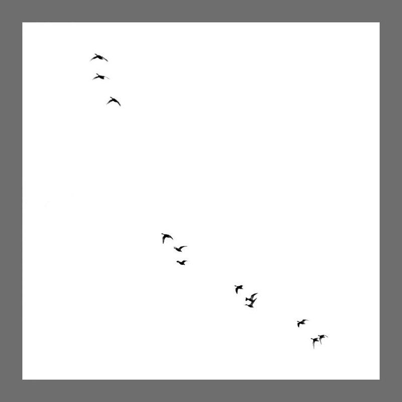 4*4=16 фото превью