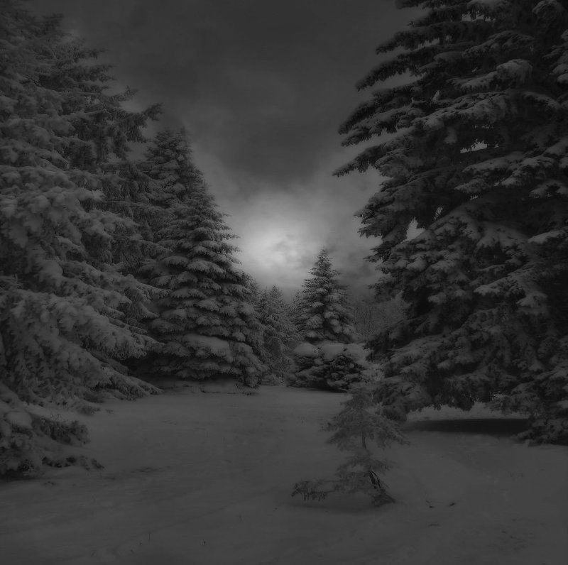 *** фото превью