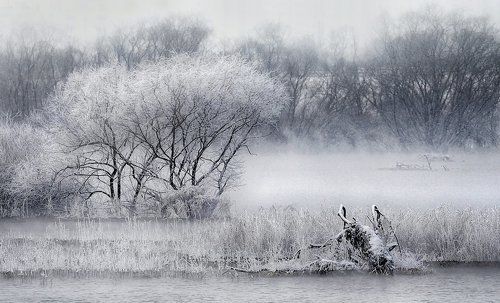 Wet fog and snow