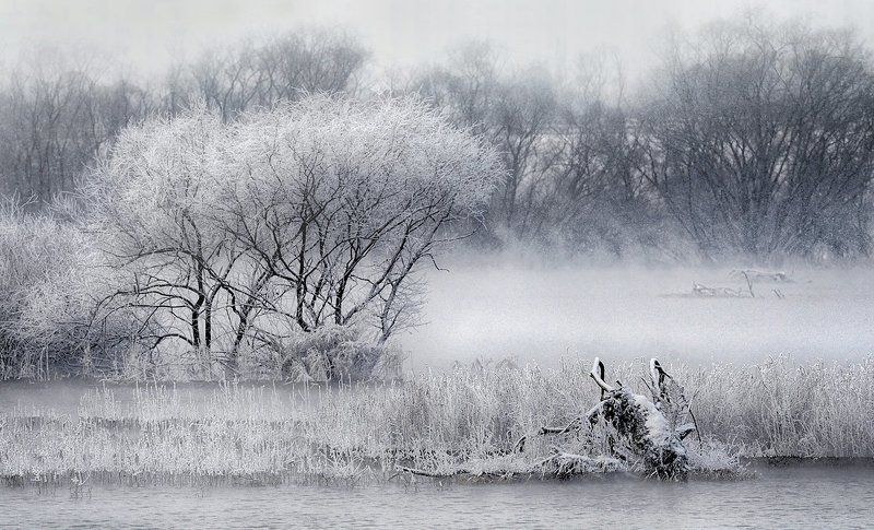 Wet fog and snow фото превью