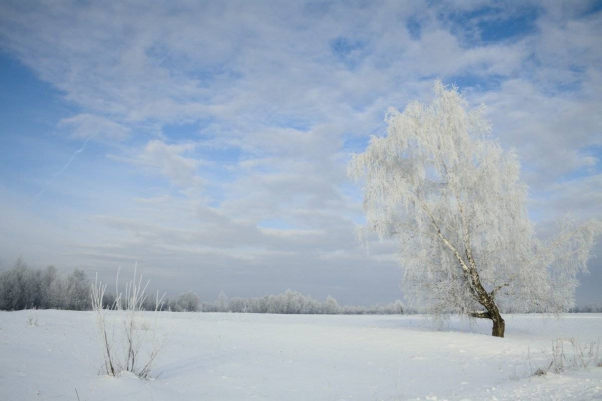 , Николай Морский
