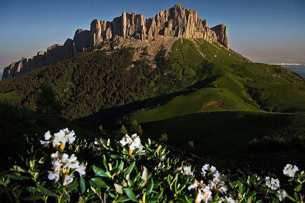 , Ловиков Михаил