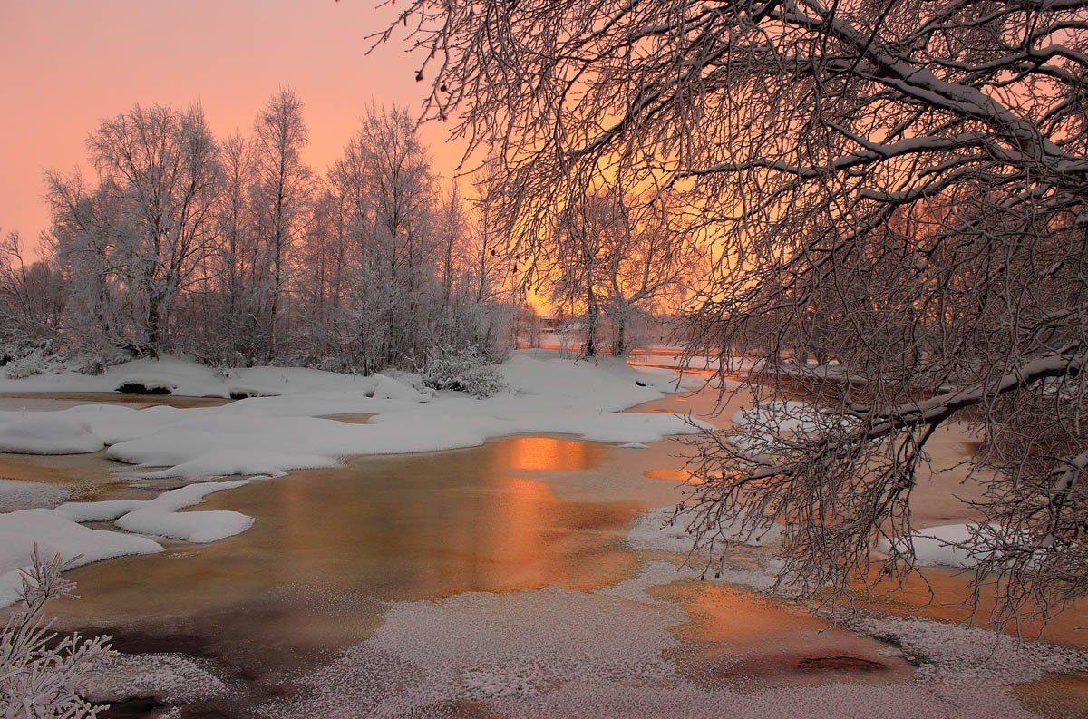 , Александр Коротков