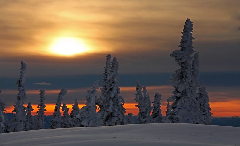 Рассветная .... фото превью