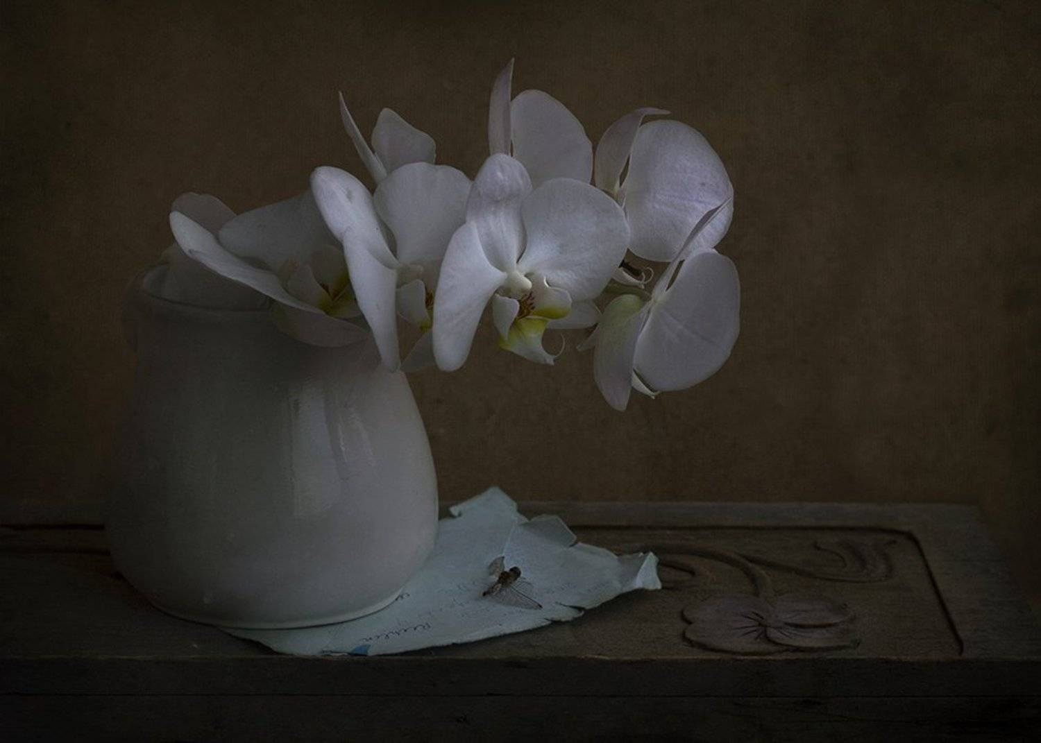 , Петрова Татьяна