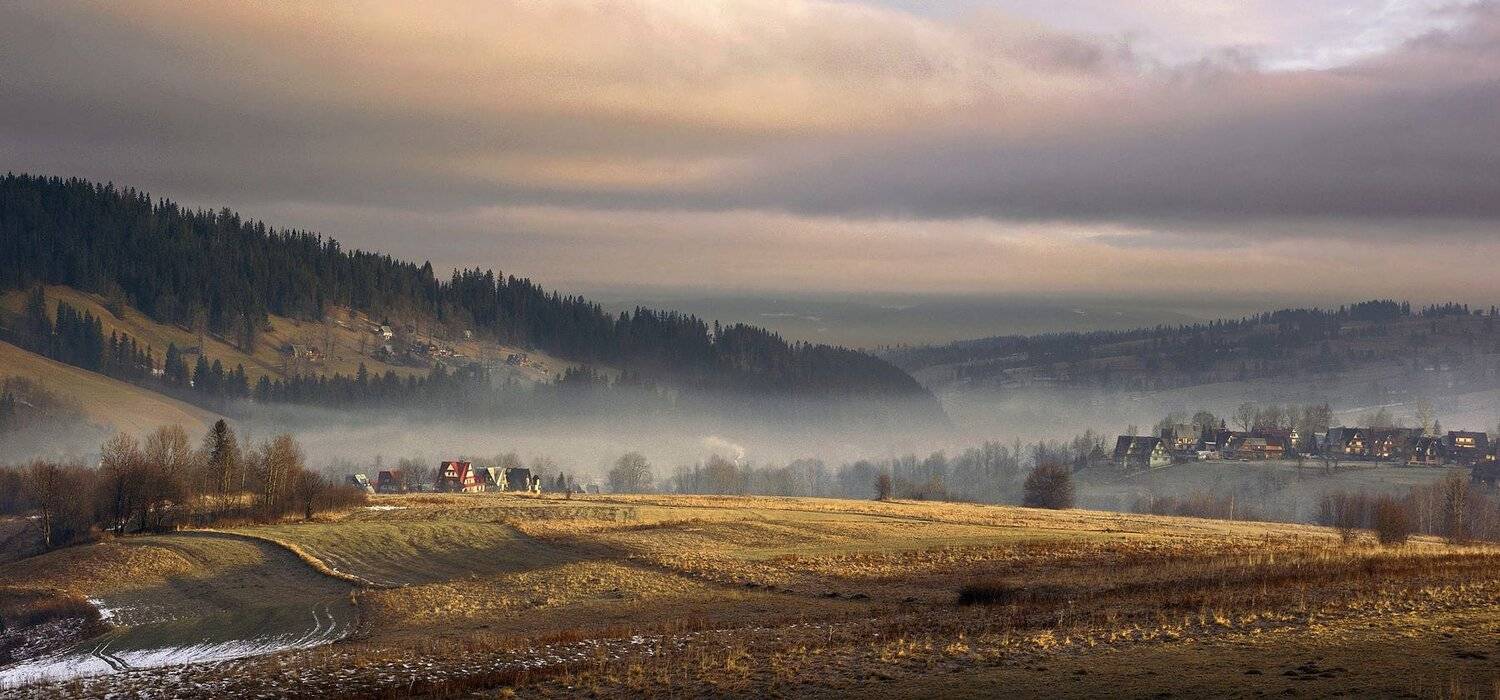 , Милокост Алексей