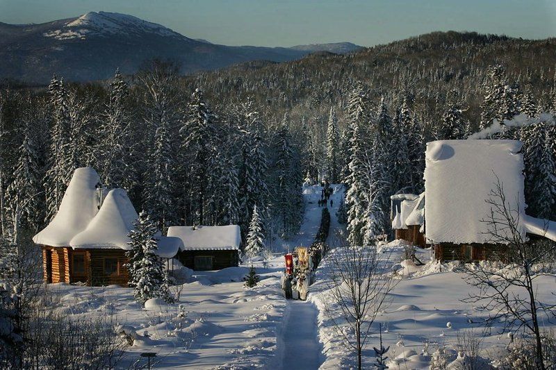 Рождество в общине Виссариона. фото превью
