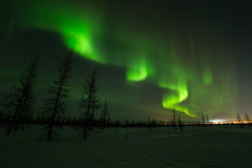 Огни ночной лесотундры
