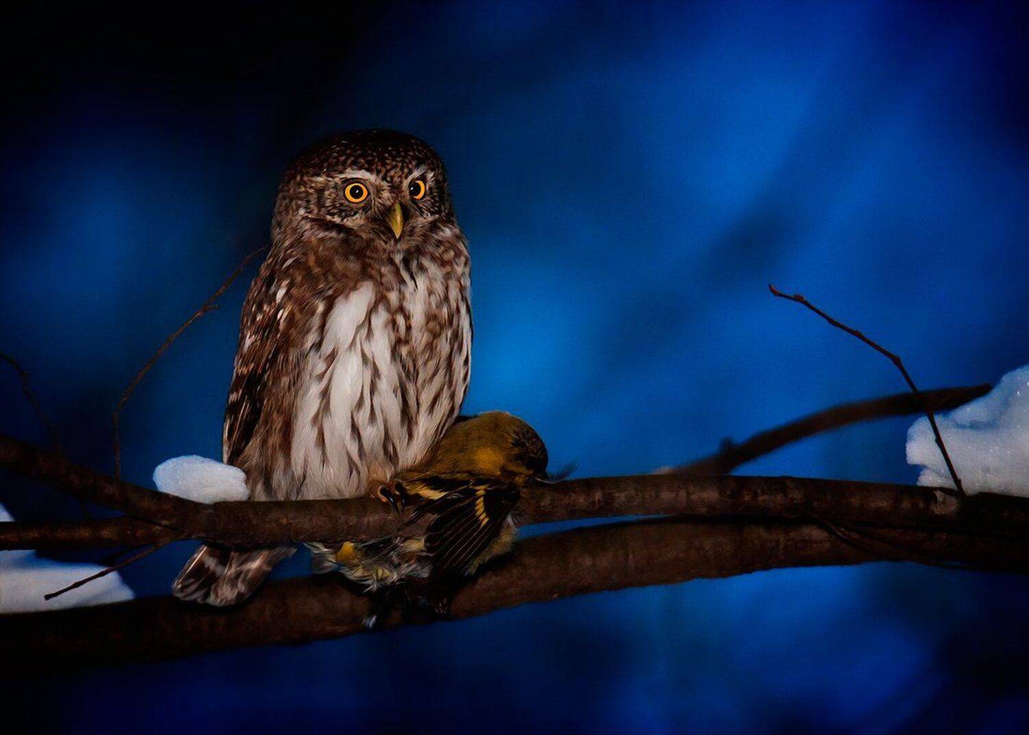 , Валерий Субачев