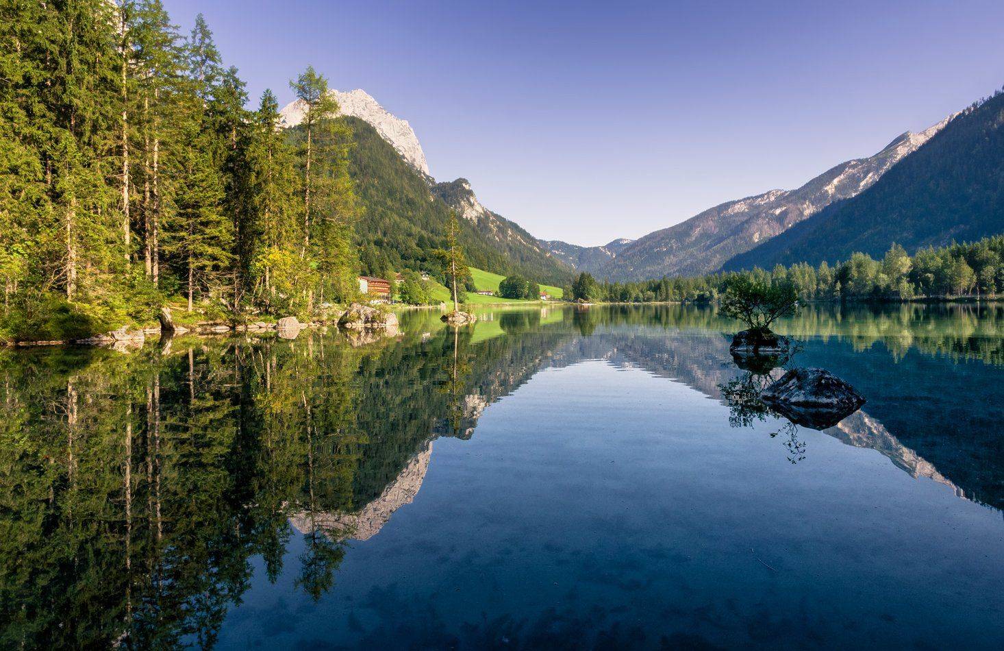 , Игорь Мелекесцев