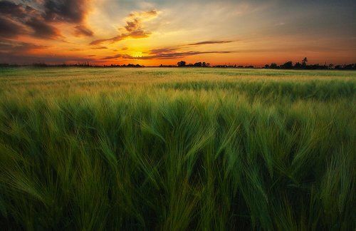 Peaceful sunset