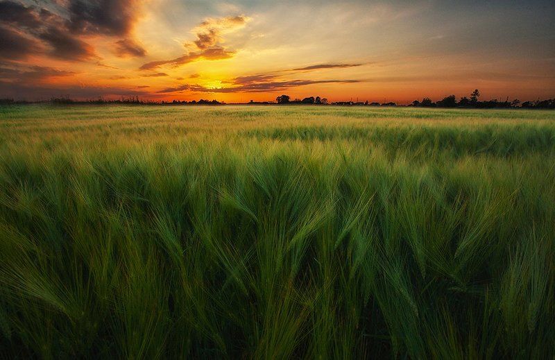 Peaceful sunset