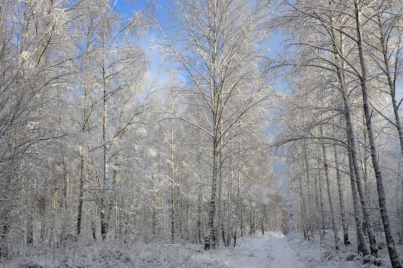 Второй день Рождества фото превью