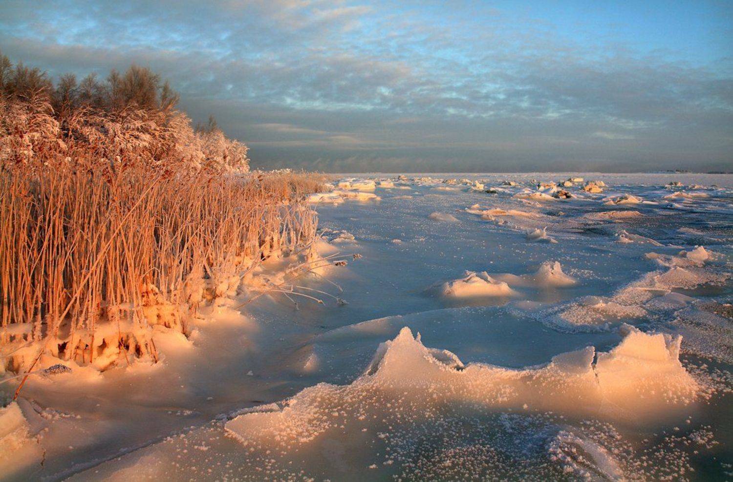 , Андрей Котов