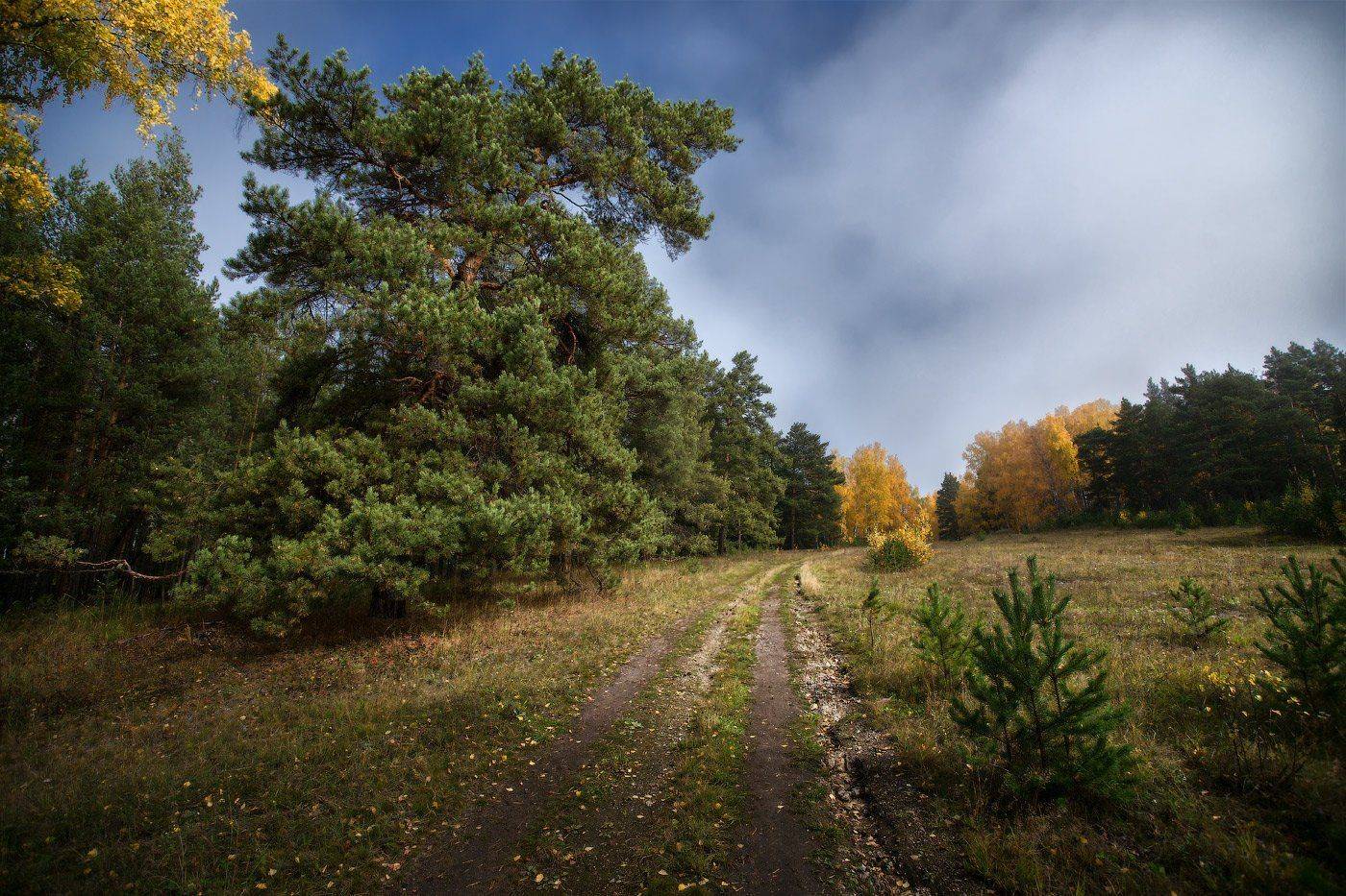 , Владимир Ляпин
