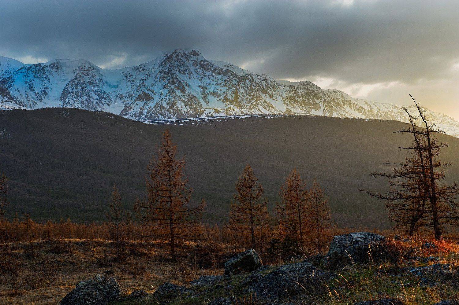 , Орлов Михаил