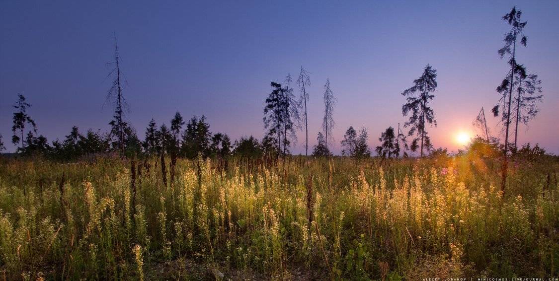 , Алексей Лобанов