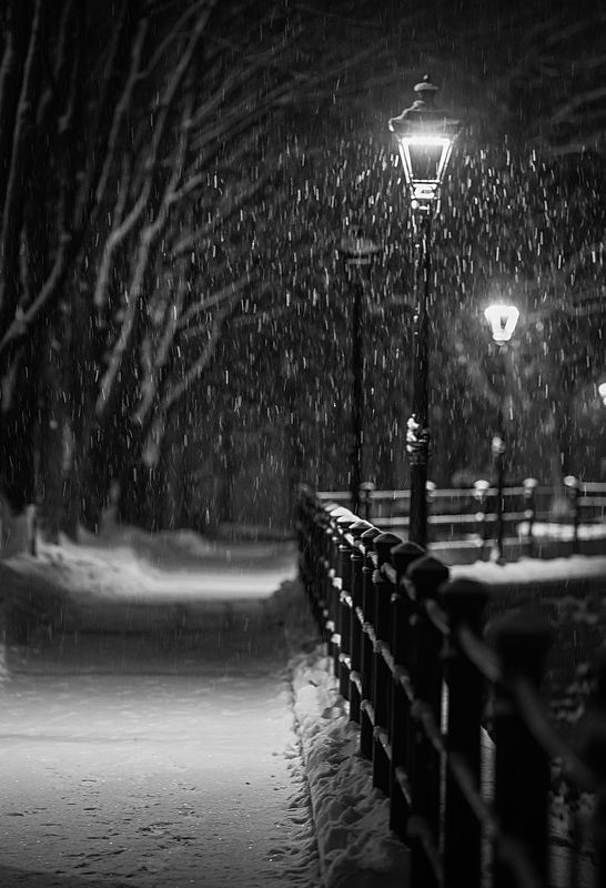 Winter promenade фото превью
