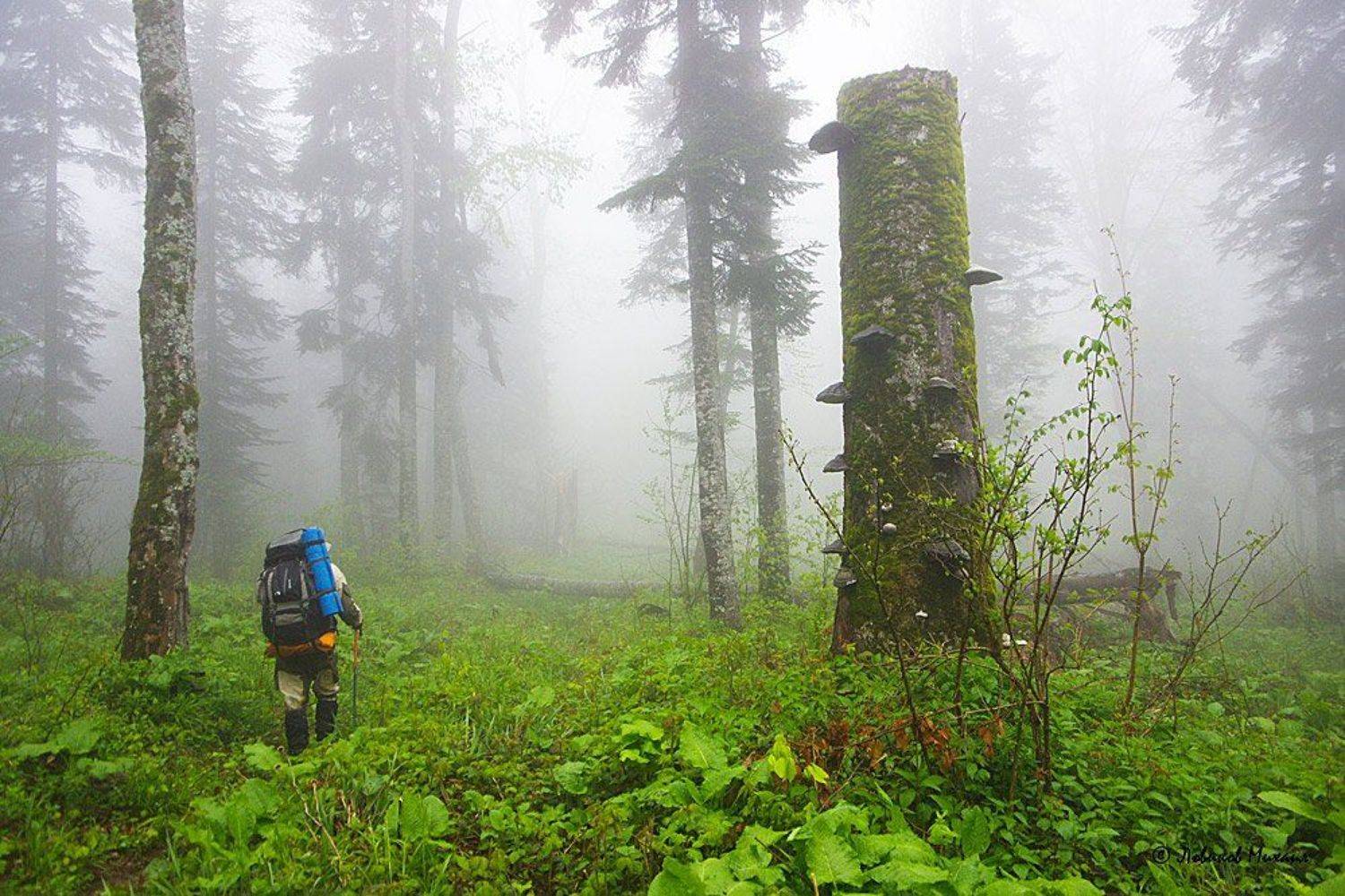 , Ловиков Михаил