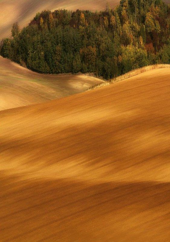Fall in Moravia фото превью