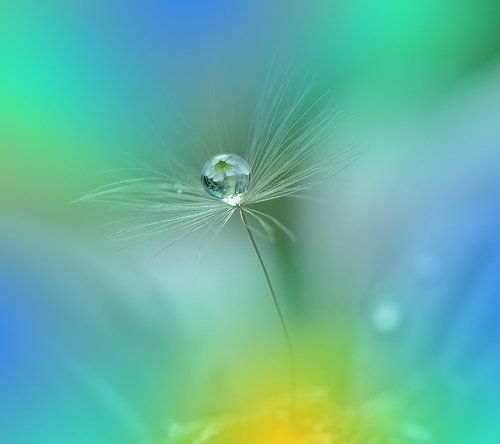 Colorful Explosion...