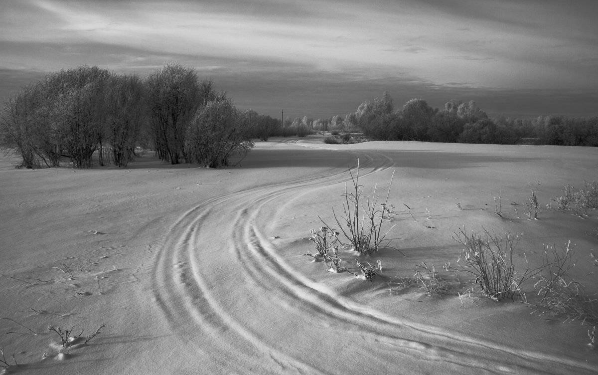 , Николай Морский