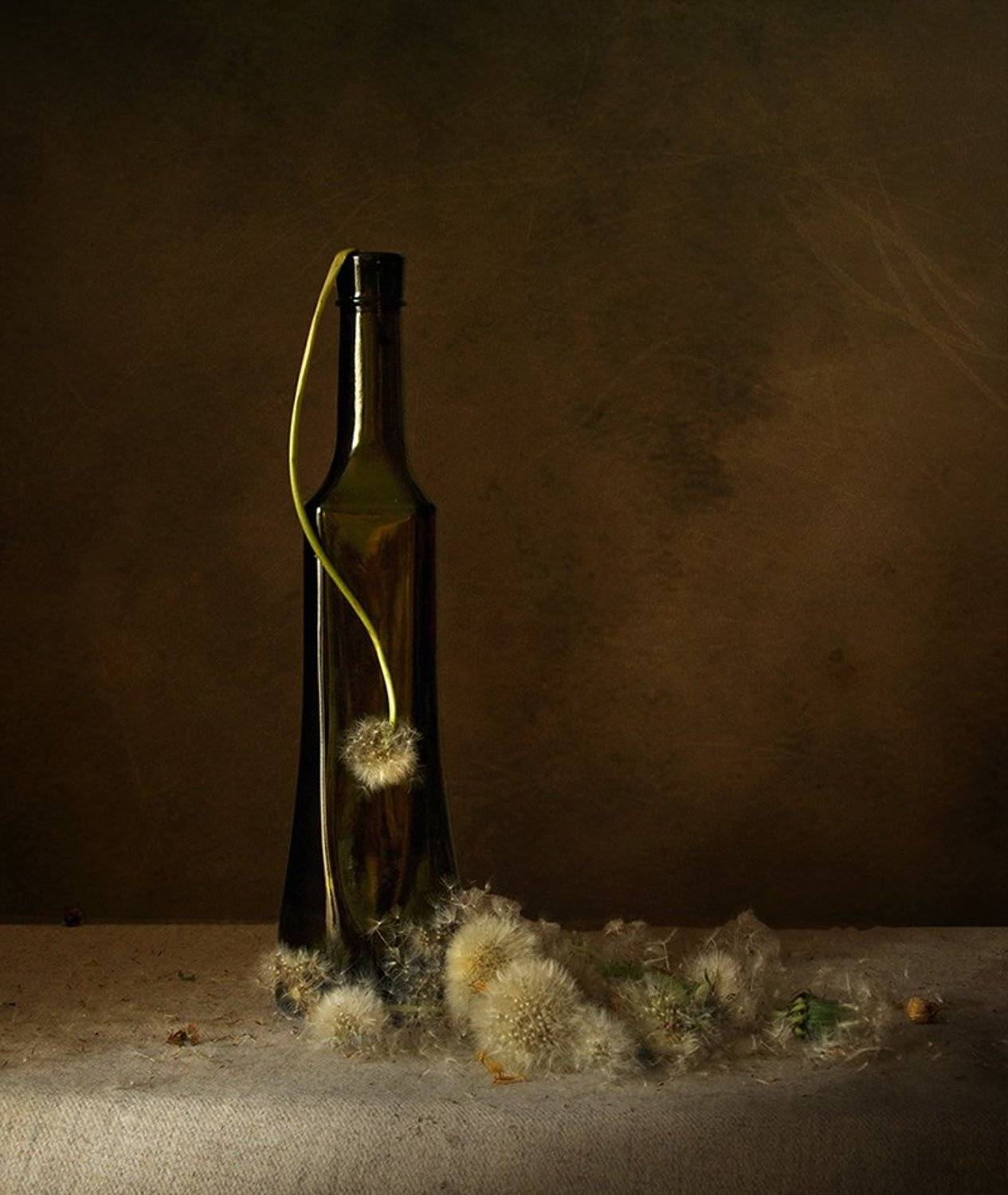 , Зоя Сорока