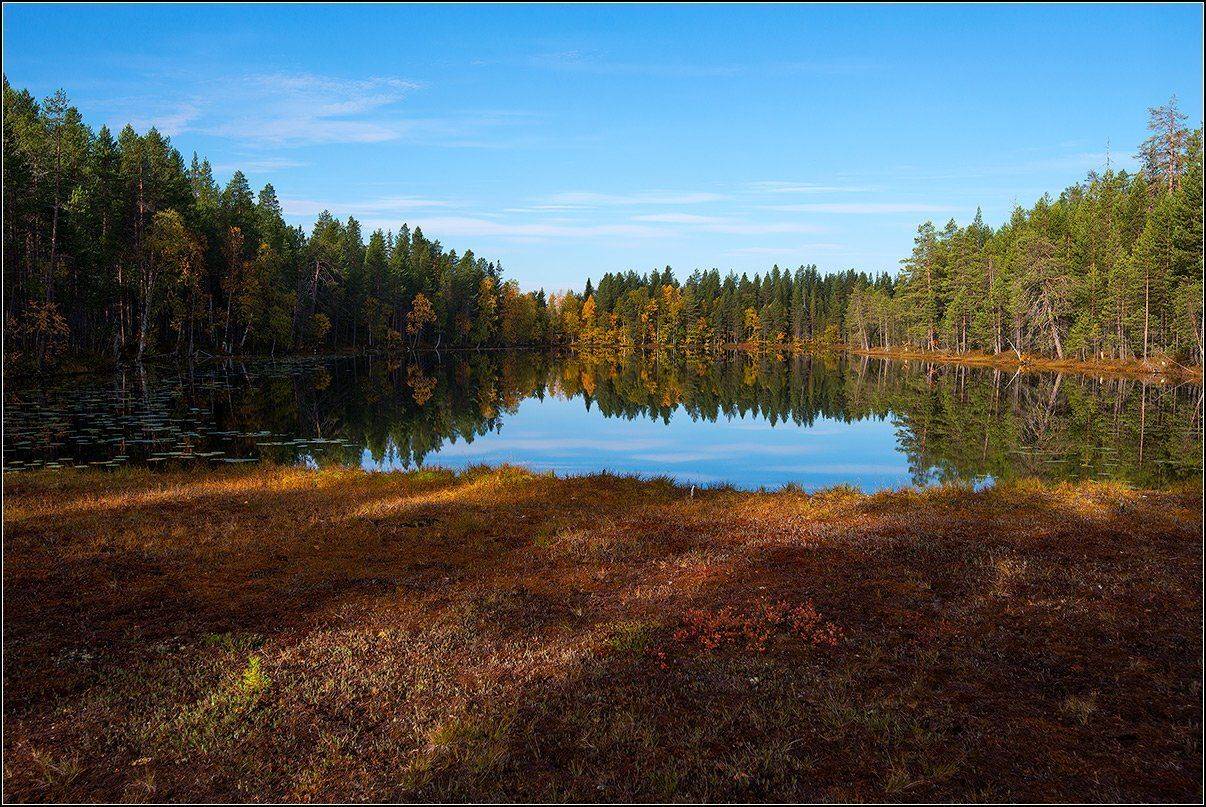 Кольский п-ов Осень, АНАТОЛИЙ ДОВЫДЕНКО
