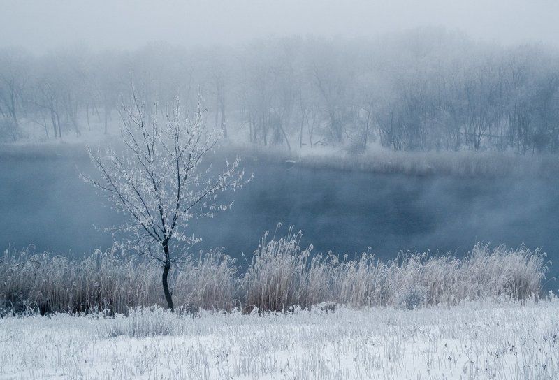 Зима... фото превью