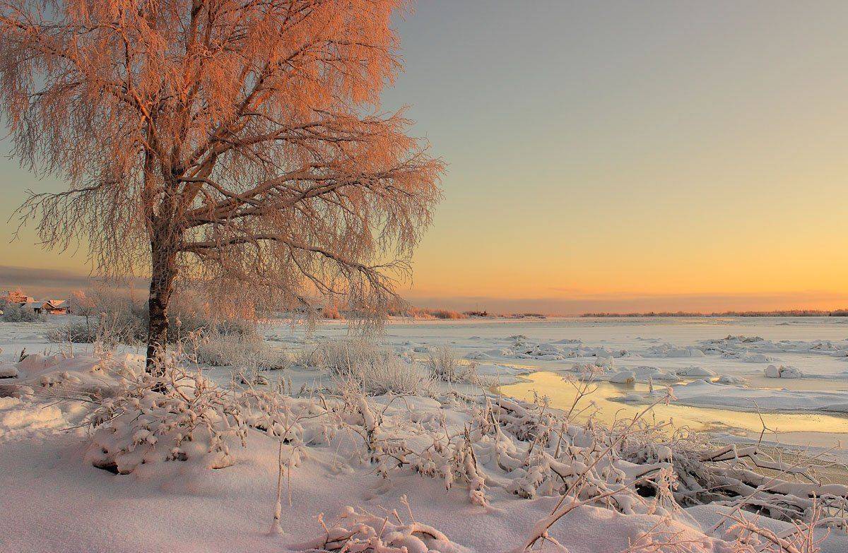 , Александр Коротков