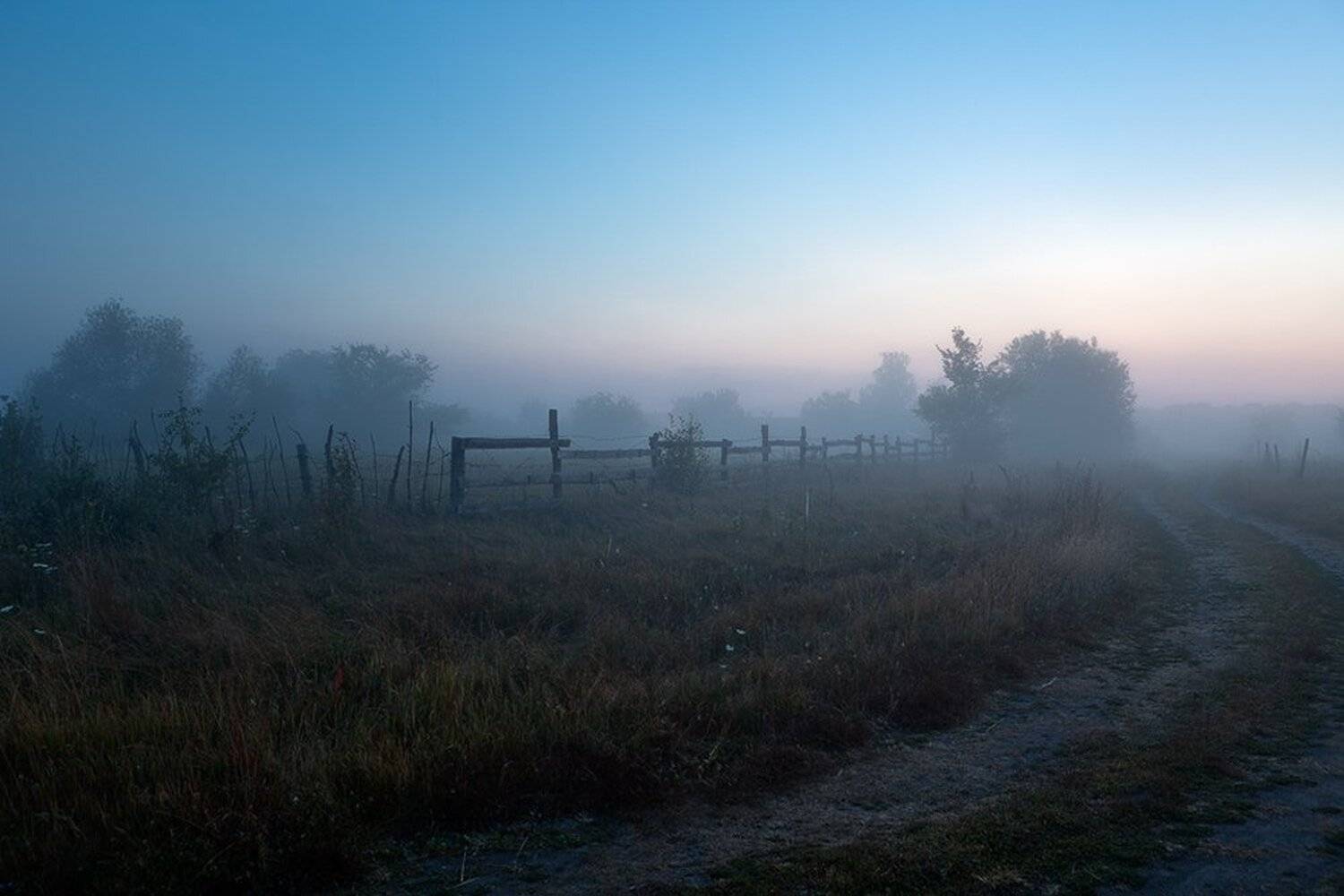 , Юрий Сорокин