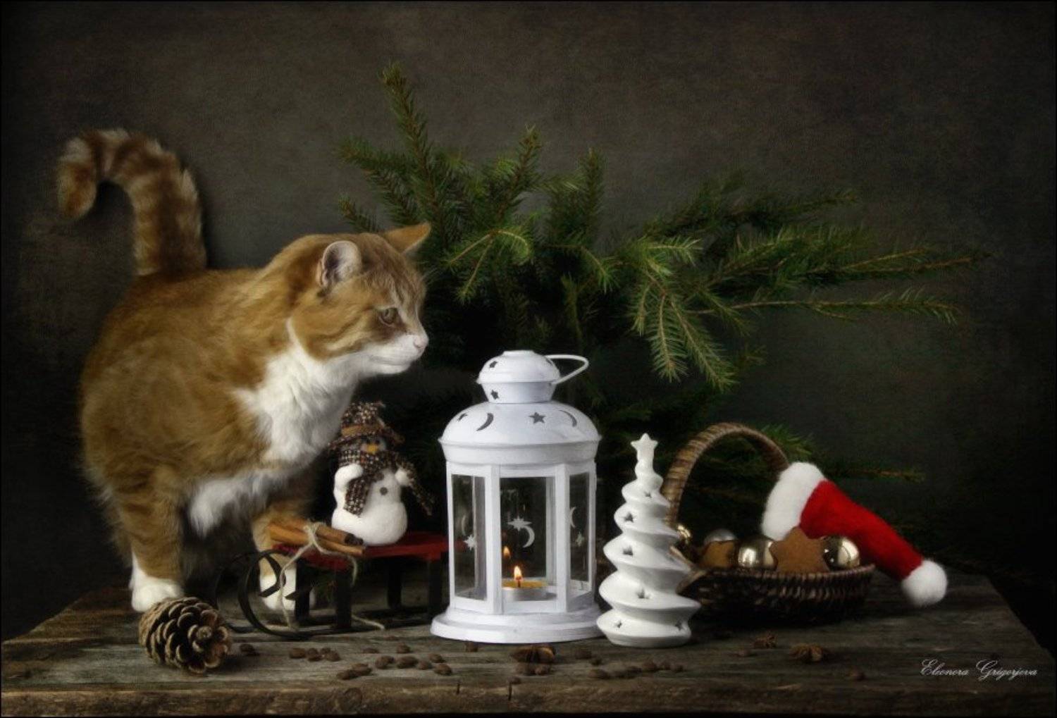 Дед Мороз, Кошка, Натюркотики, Новый год, Eleonora Grigorjeva