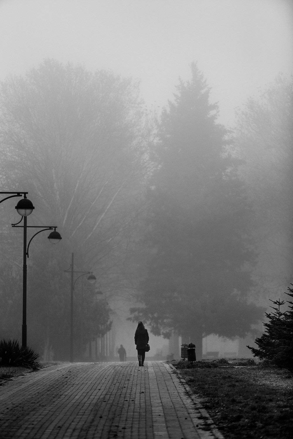 , Владимир Осауленко