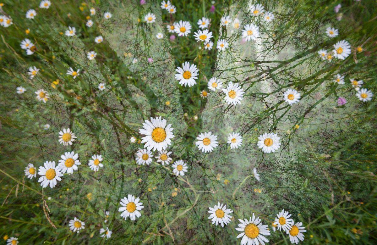 , Гвановский Владимир