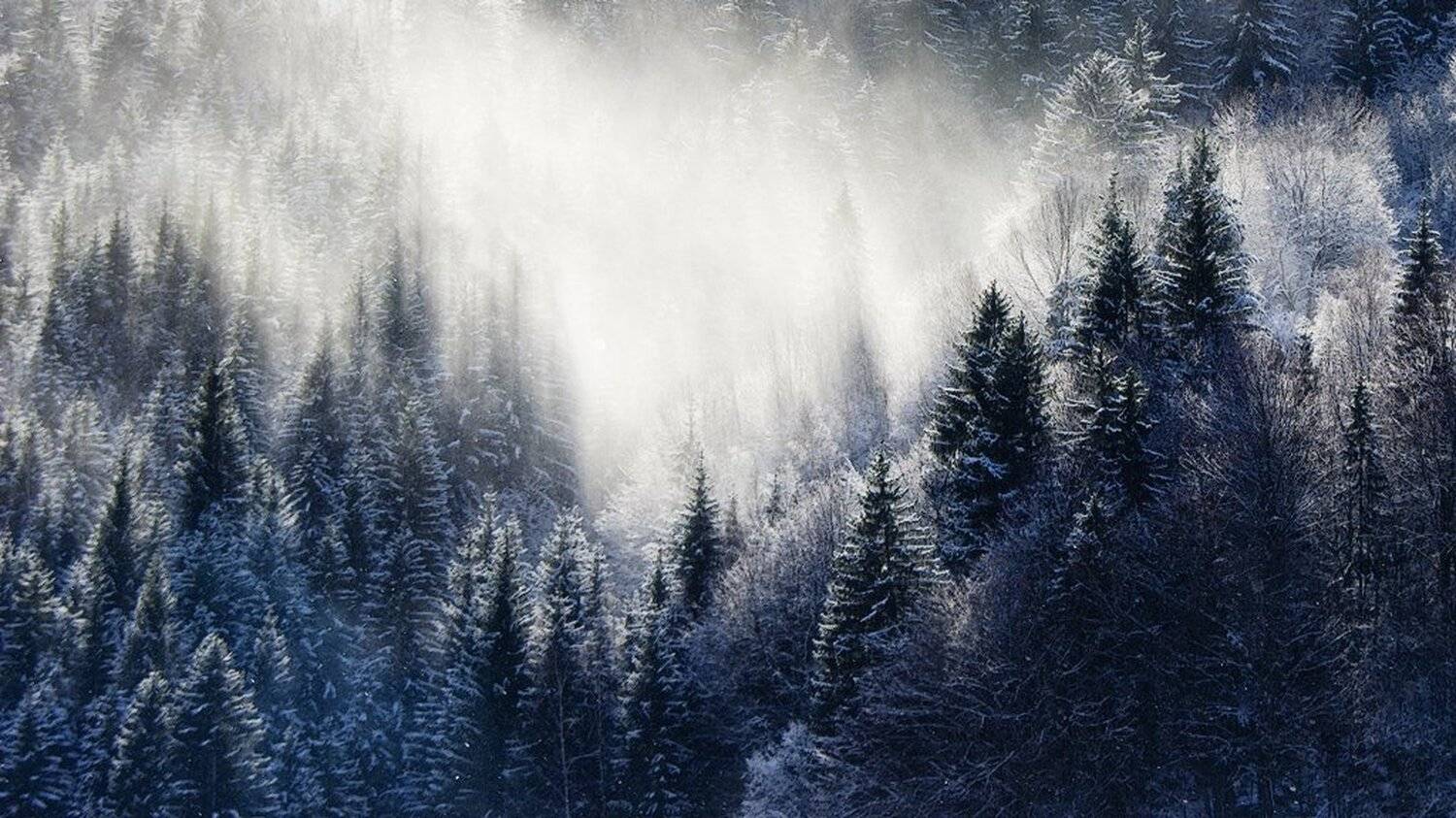 , Ирина Костова