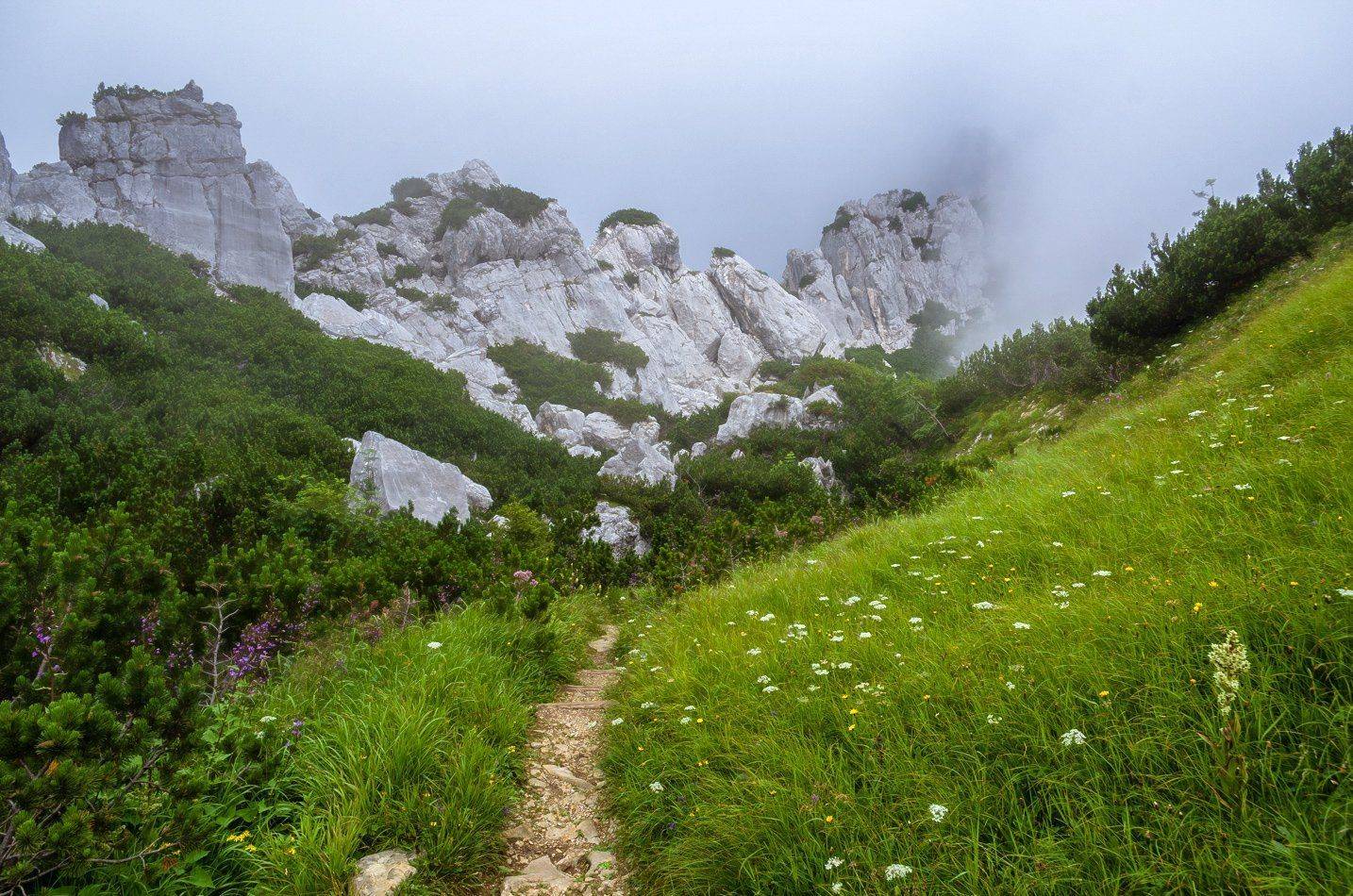 , Игорь Мелекесцев