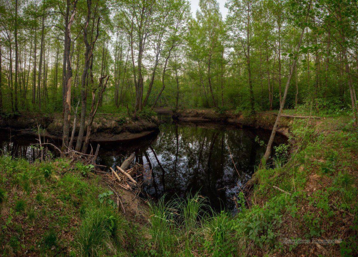 , Хохряков Николай