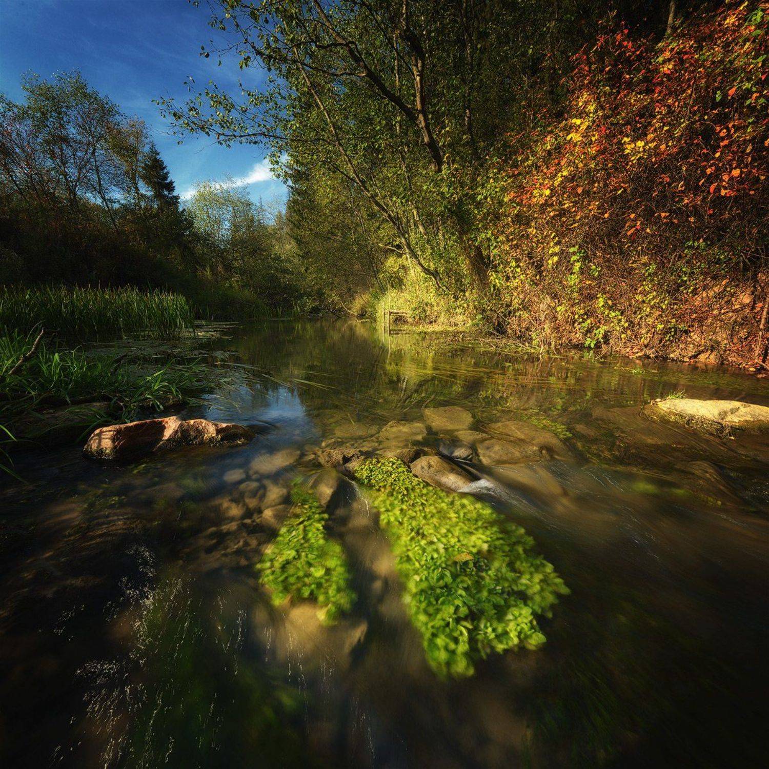 вода, осень, пейзаж, природа, Алексей Никонов