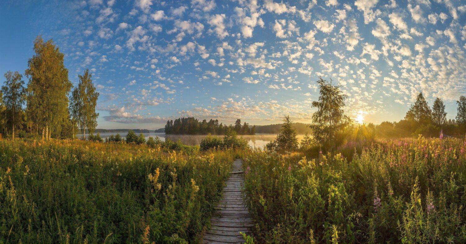 , Лашков Фёдор