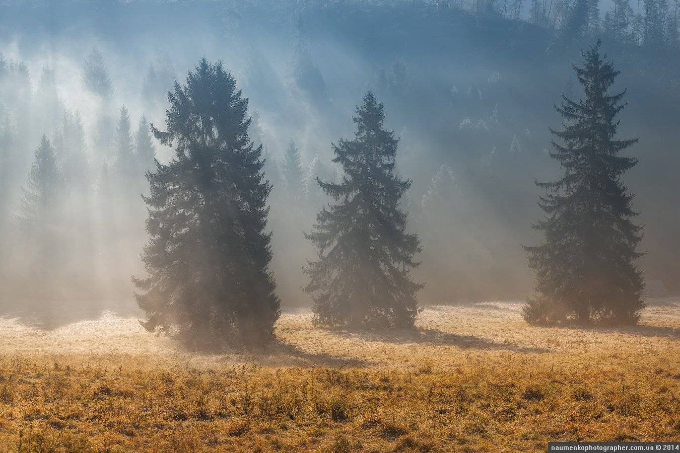 , Александр Науменко