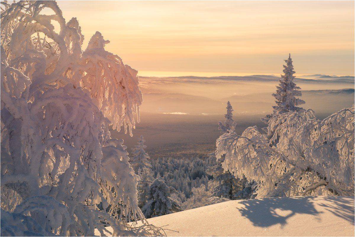 , Кутыгин Эдуард