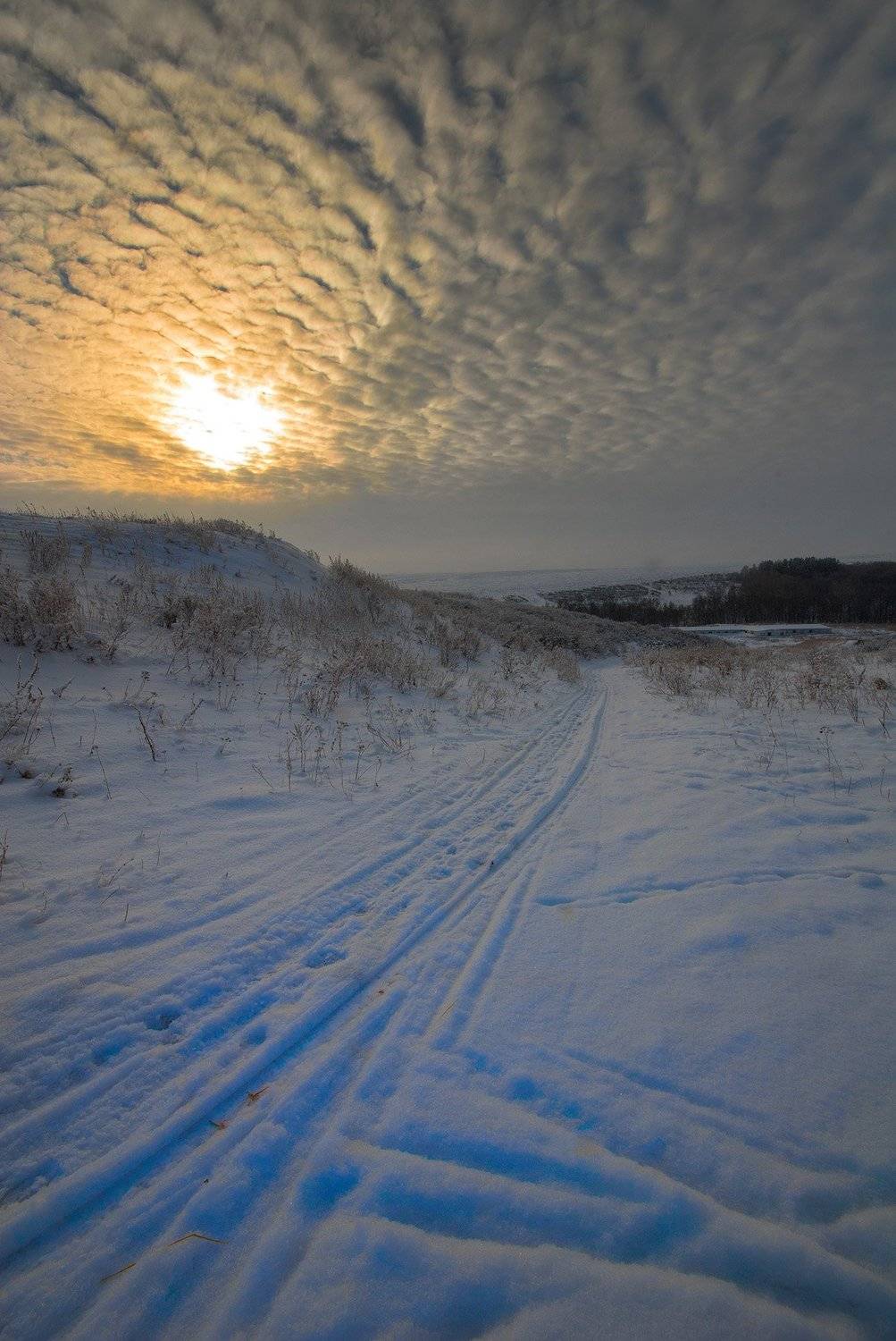 , Орлов Михаил