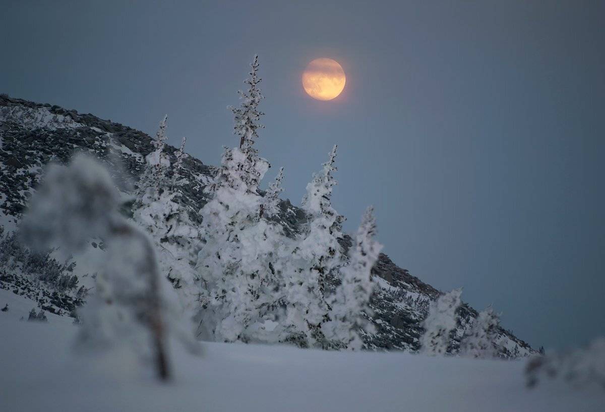 , Валерий Пешков