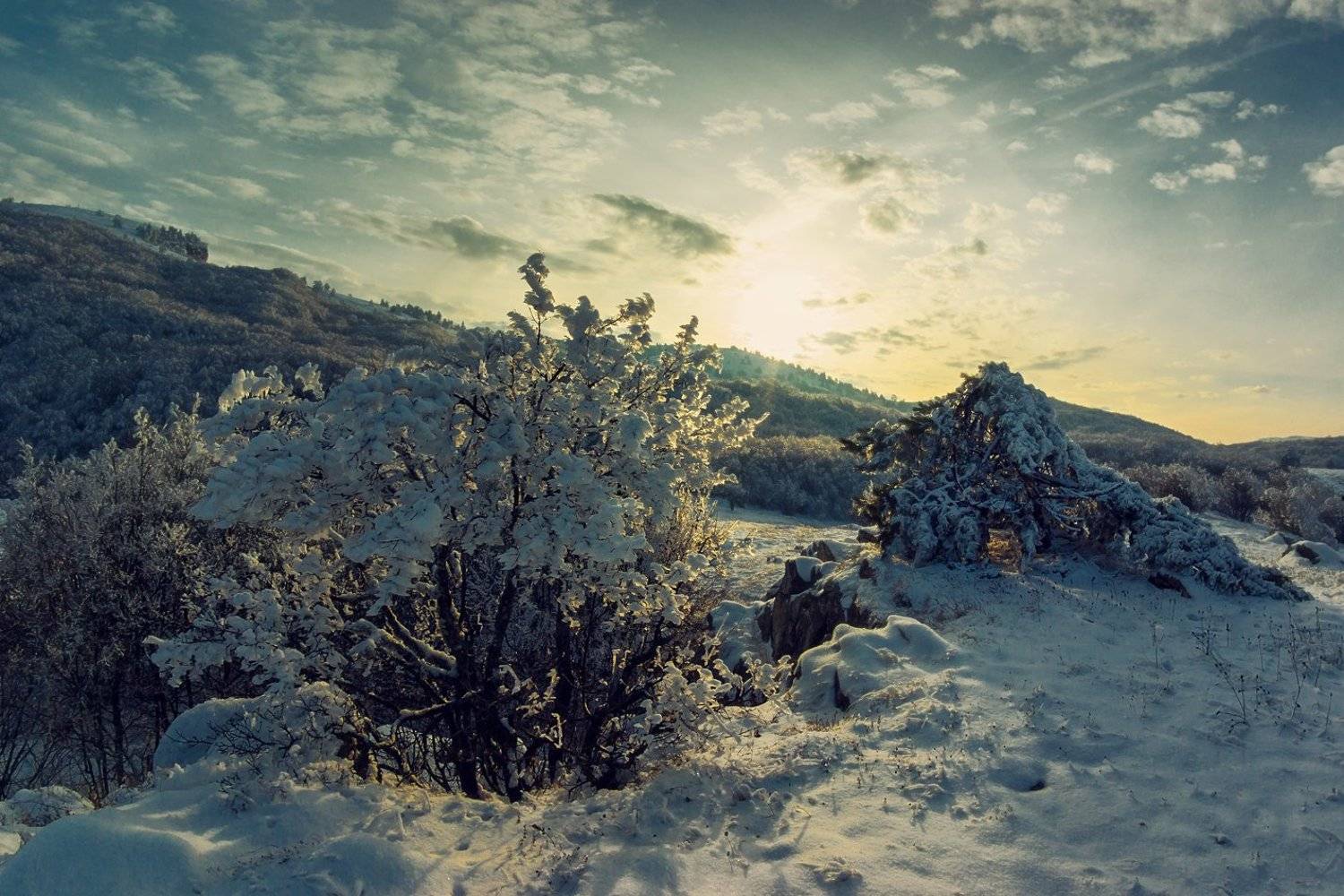 , Игорь Мелекесцев