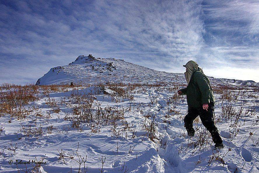 , Ловиков Михаил