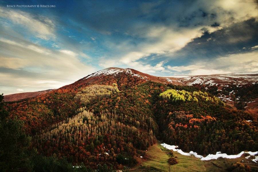 , Тигран Лорсабян